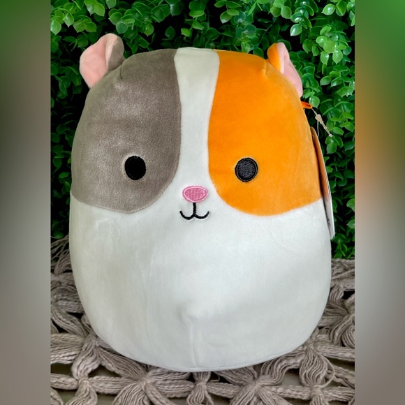 NWT Everett the Guinea Pig Squishmallows 8" - Picture 2 of 6